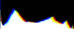 Histogram